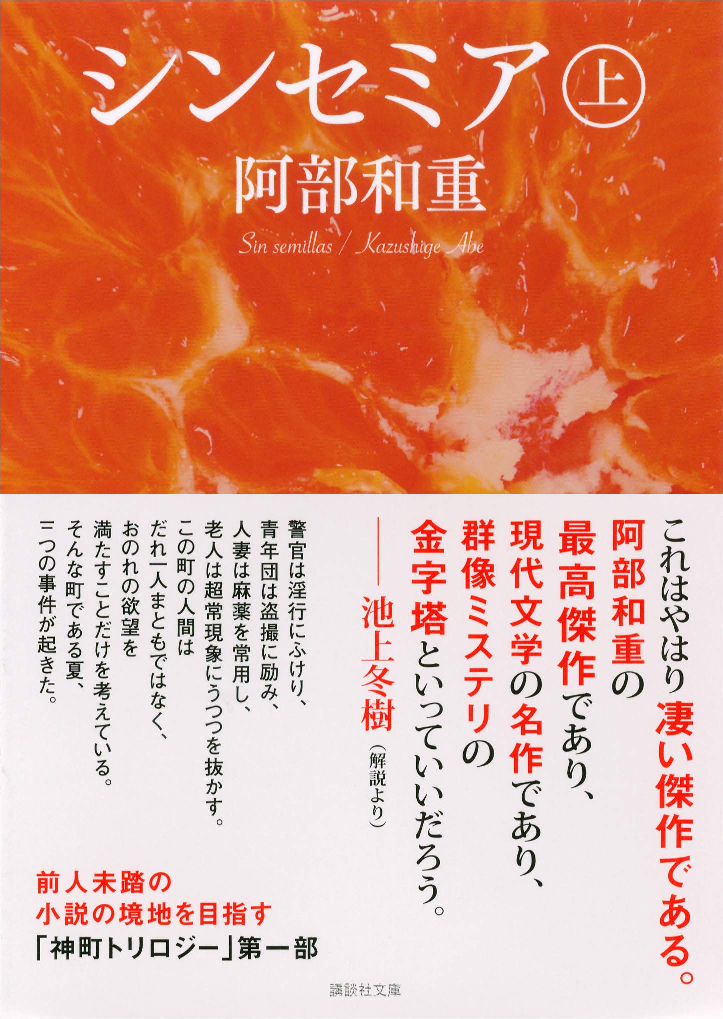 Amazon.co.jp: 阿部 和重: 本、バイオグラフィー、最新アップデート